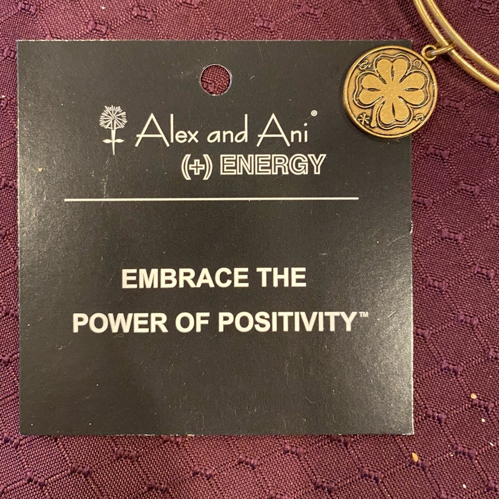 Alex & Ani Bangle Bracelet